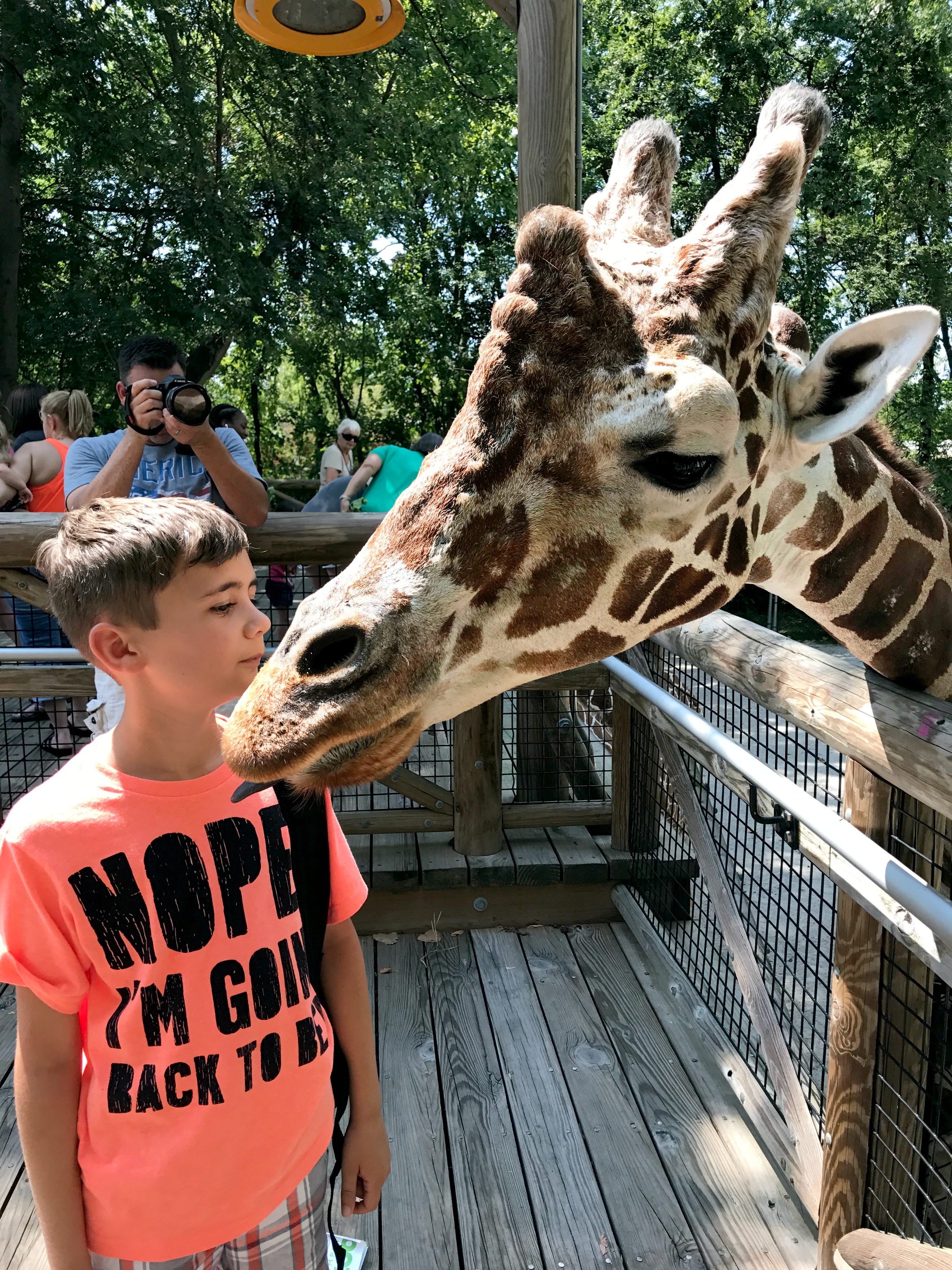 Noah giraffe