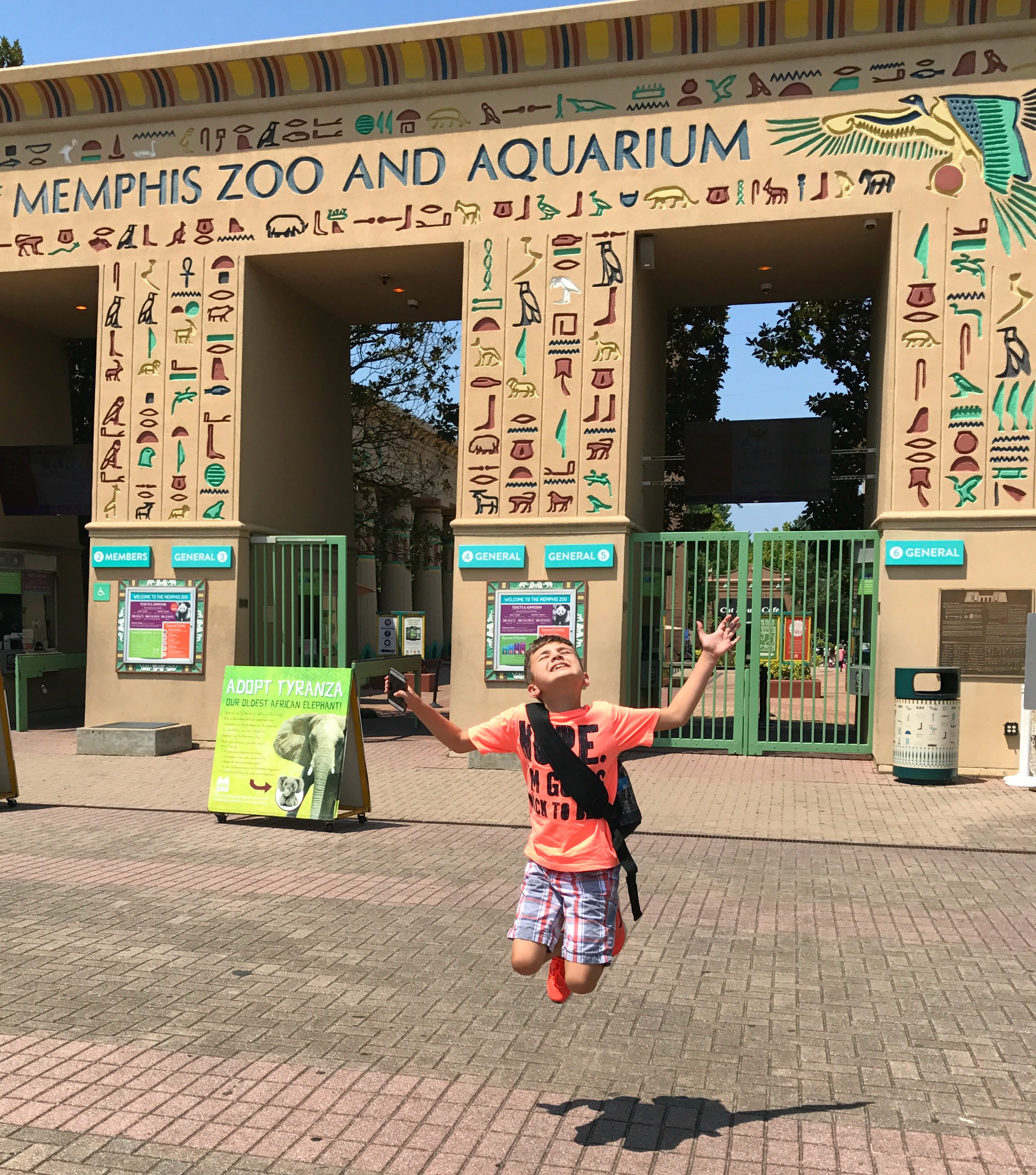 Noah jumping at zoo